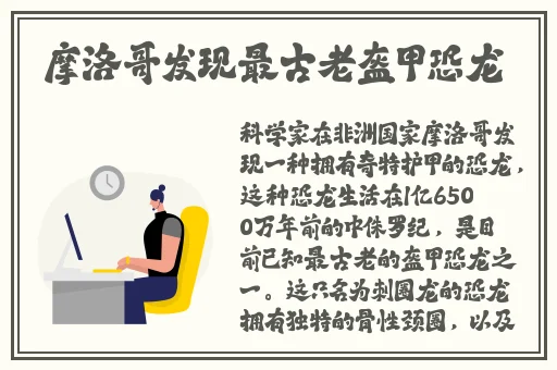 麻豆视屏入口