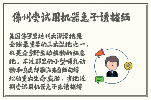 伊甸园2023年入口音响